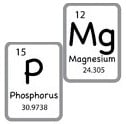 P-ester / magnesium synergy for wood FR