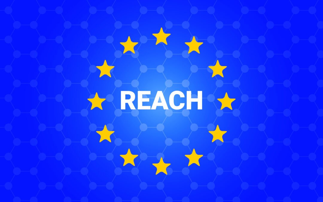 Reminder: EU consultation on REACH