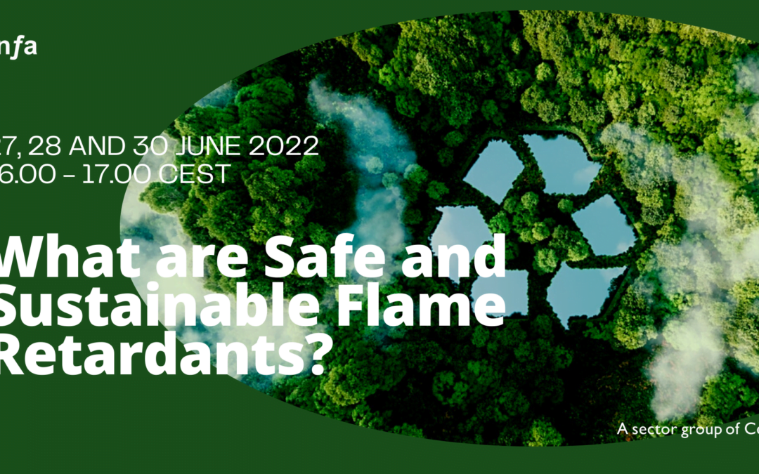pinfa webinar, 27, 28 and 30 June 2022, 16h – 17h CEST “What are Safe and Sustainable Flame Retardants?”