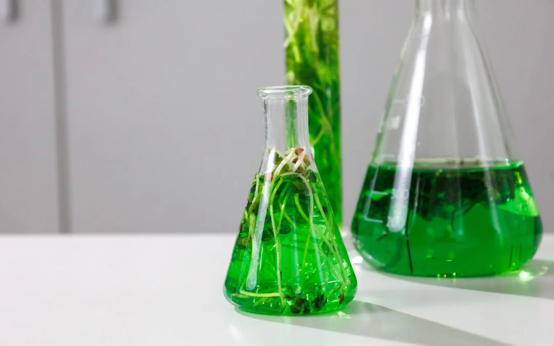Expert Committee on Sustainable Chemistry