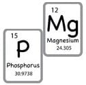 Biobased phosphorus – magnesium PIN FR