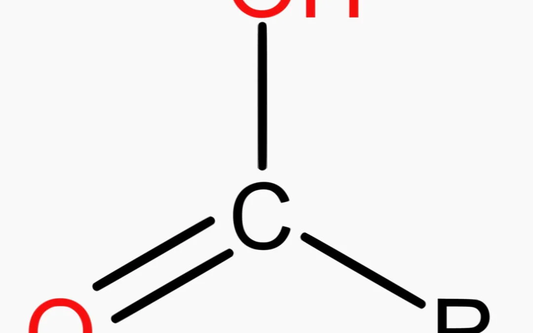 Biobased, hyperbranched PIN FR