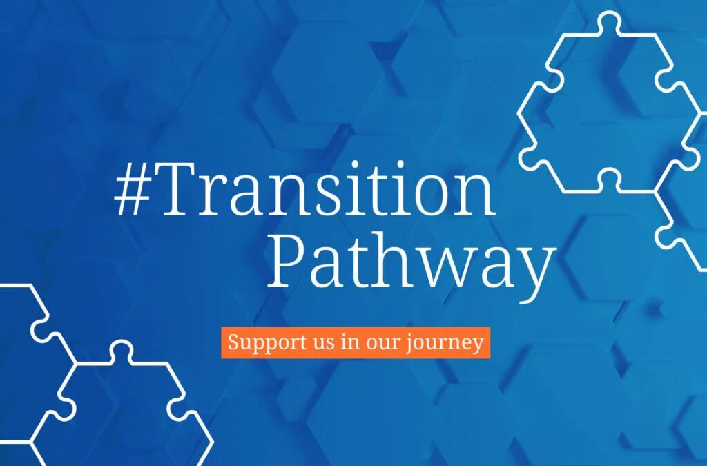 Chemical industry transition initiatives call