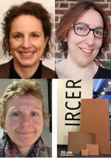 Innovative flame retardant coatings