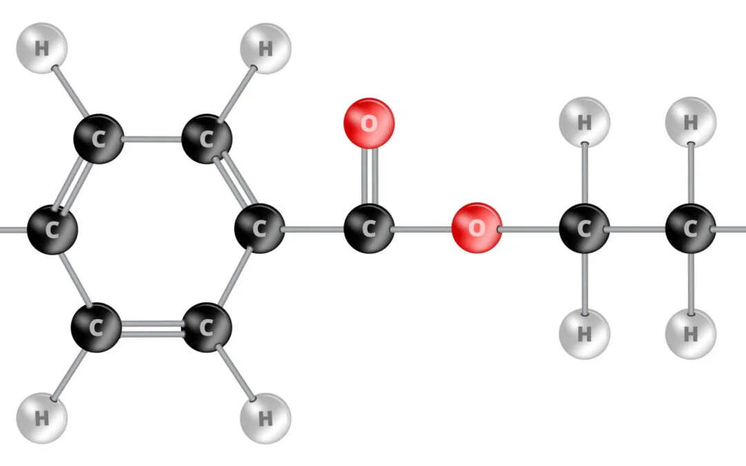 Phosphorus PIN FR improves PET recycling
