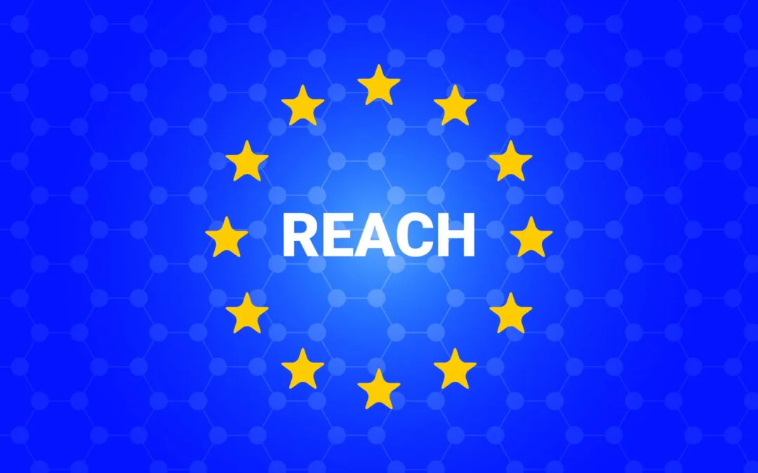 EU public consultation on REACH revision