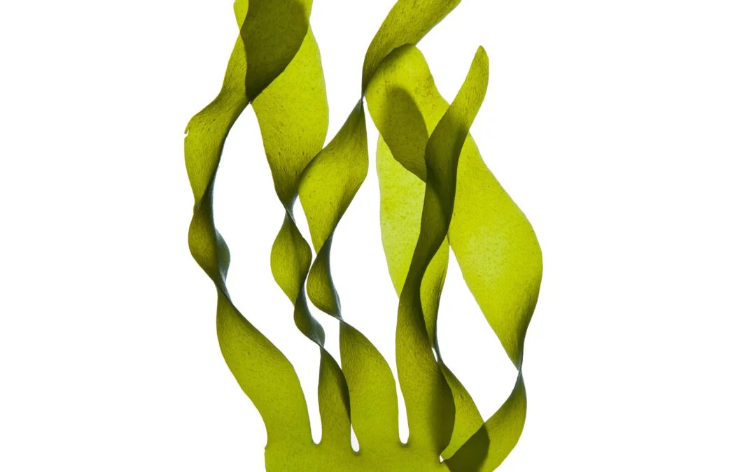Iron alginate bio-based PIN FR for epoxy