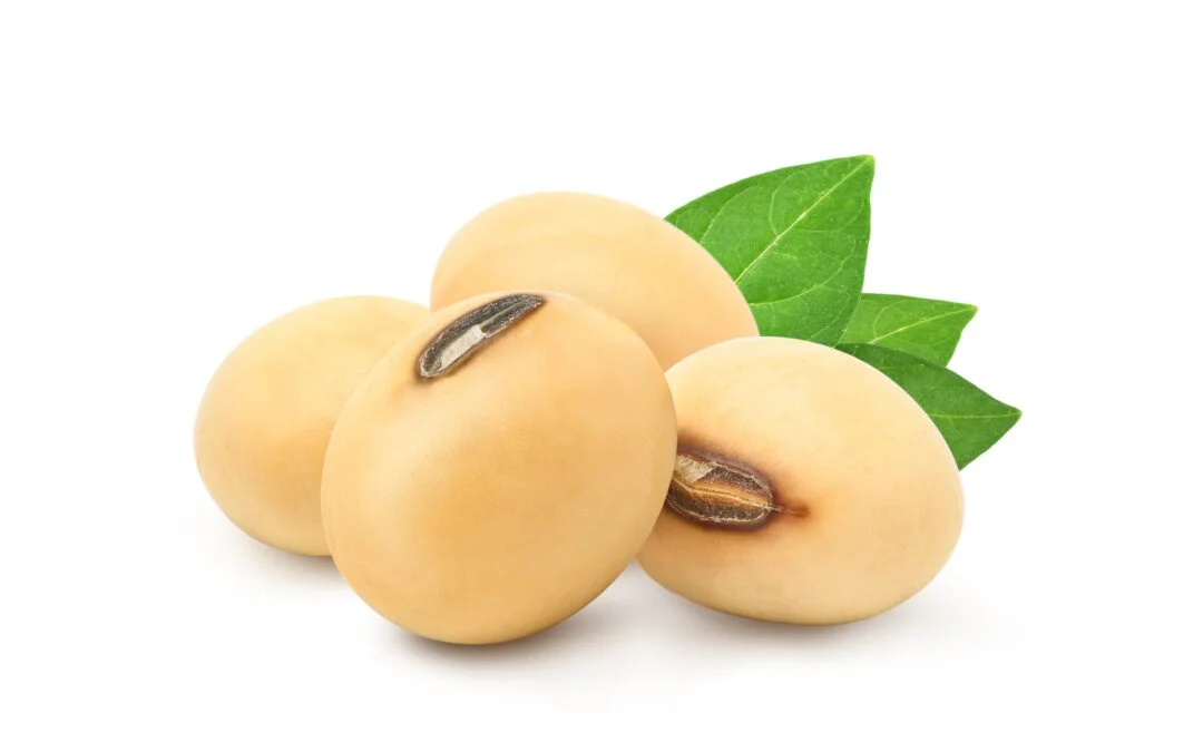 Soybean PIN FR for bio-sourced polymer