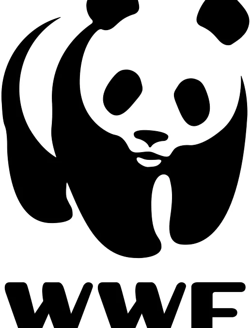 WWF on chemical recycling of plastics