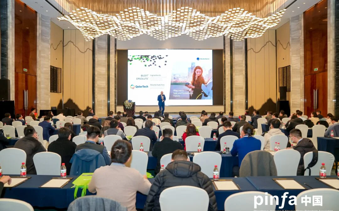 pinfa-China energy storage workshop