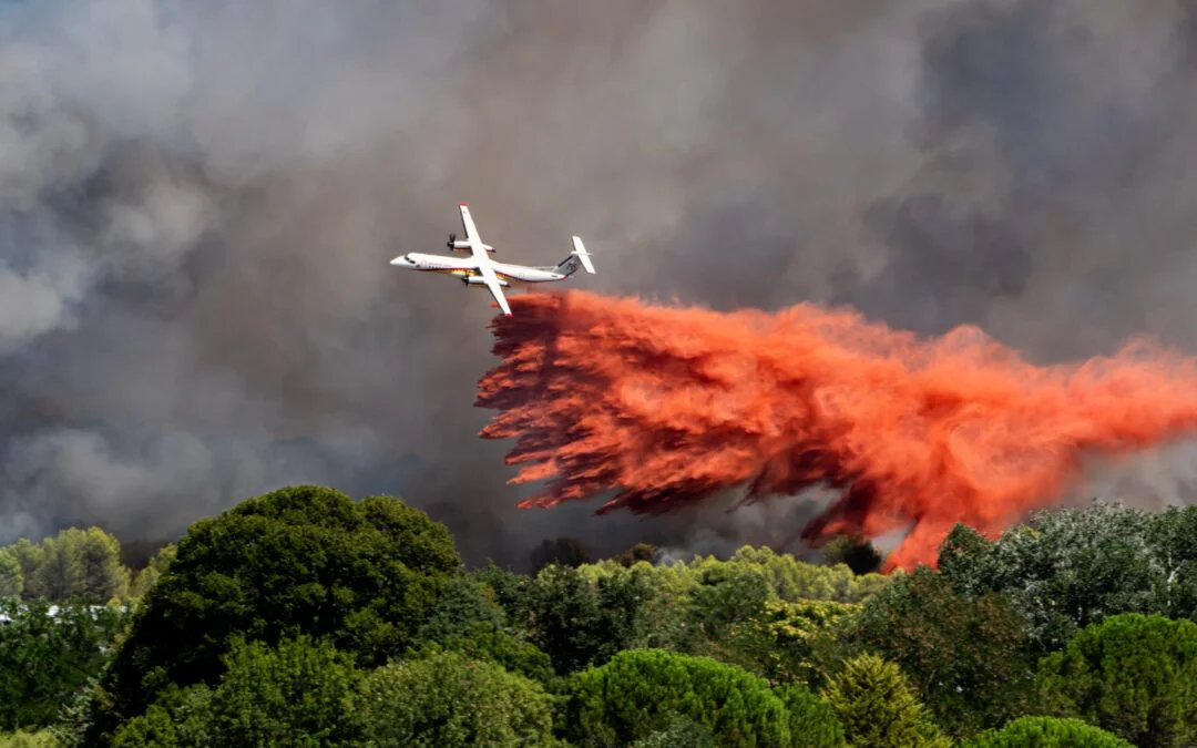 EU plans wildfire preparedness