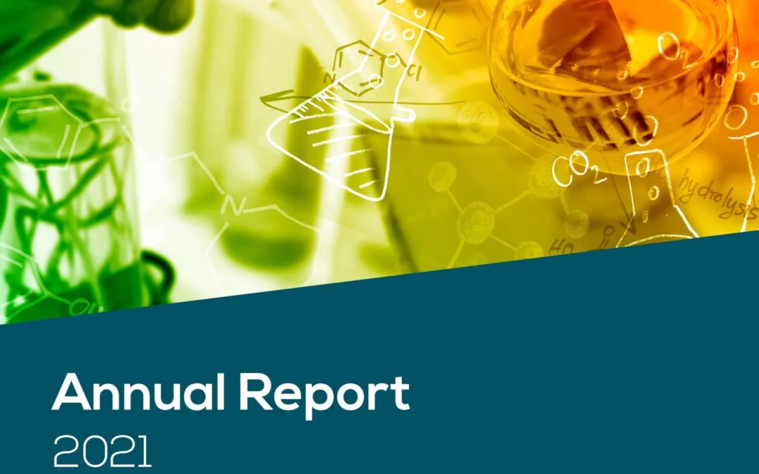 pinfa Annual Report 2021