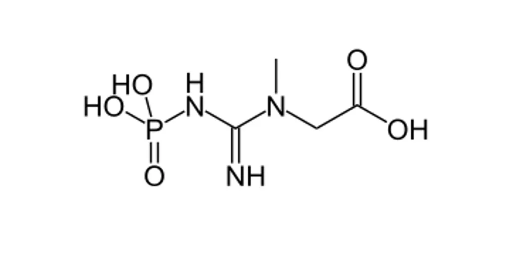 Phosphoramidates as PIN flame retardants: update of studies on a possible new class of PIN FRs. Expert editorial by Cédric Hervieu and Sabyasachi Gaan, EMPA