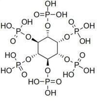 Biobased P-N-Si transparent PIN FR coating