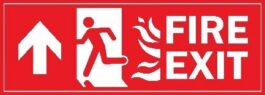 750 persons safely escape disco club fire