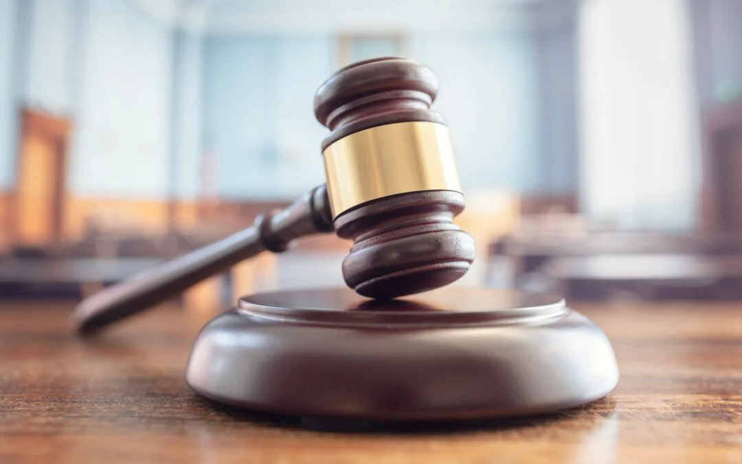 Court says US EPA must reassess DecaBDE