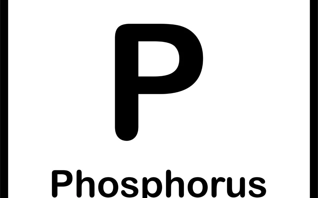 Structure and chemistry of phosphorus FRs